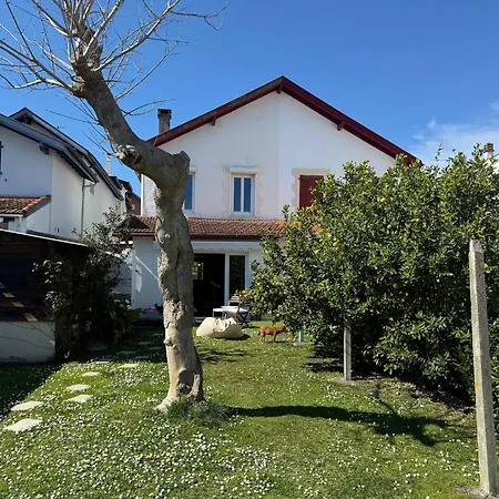 Casa de Férias Maison Piscine Jardin Parking Biarritz